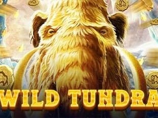 Wild Tundra game thumbnail